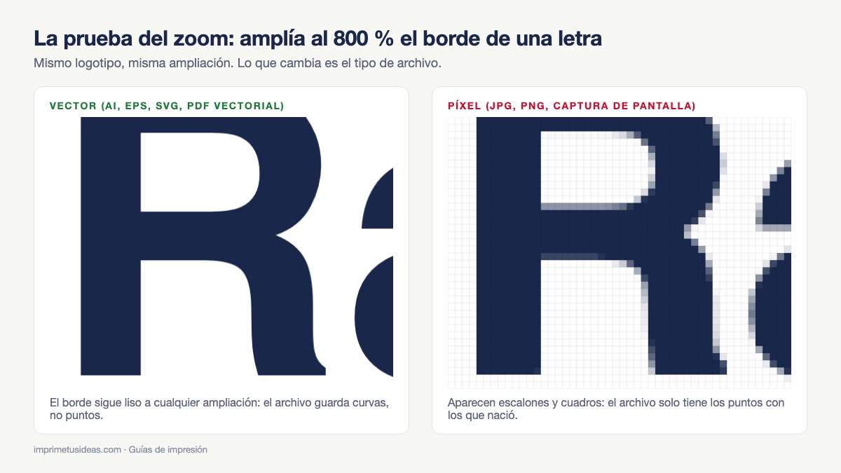 Prueba del zoom: el mismo logotipo ampliado al 800 % en vector y en píxel