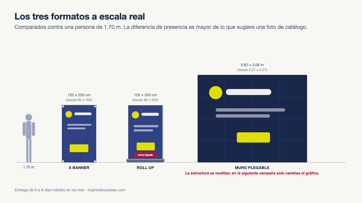 Comparación a escala de X banner, roll up y muro plegable junto a una persona de 1.70 metros