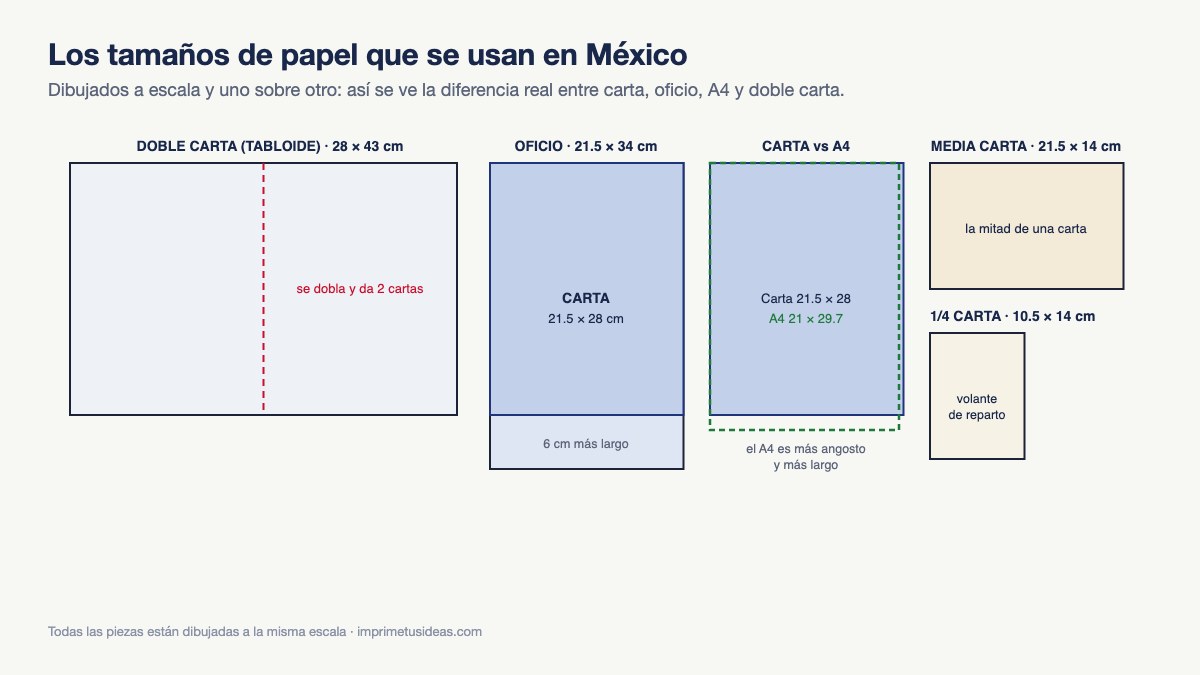 Comparación a escala de doble carta, oficio, carta, A4, media carta y un cuarto de carta