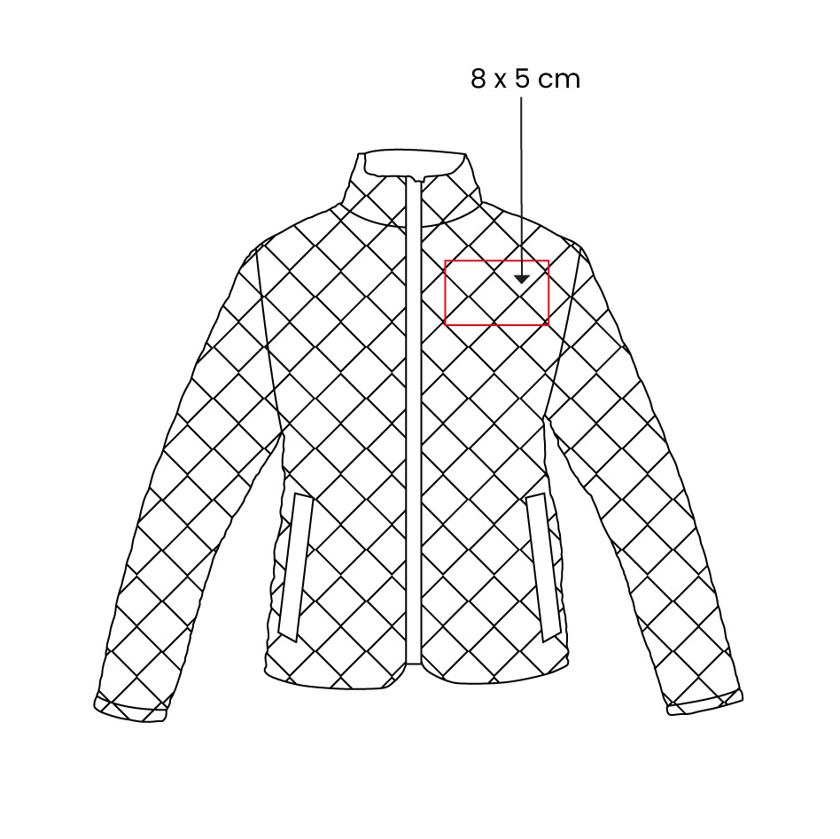 https://www.contenidopromo.com/Images/vectores/CHM-024.jpg