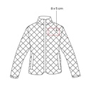 https://www.contenidopromo.com/Images/vectores/CHM-024.jpg